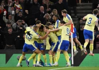 southampton reach championship play off final
