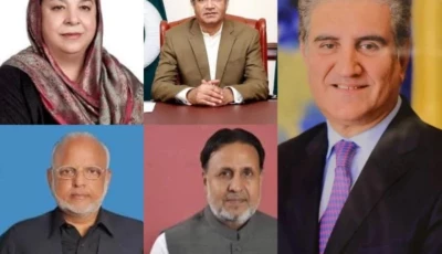 a combination photo of pti leaders yasmin rashid omar cheema ejaz chaudhry mian mehmoodur rasheed and shah mahmood qureshi