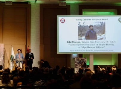 pakistani researcher wins wildlife conservation award pakistani researcher wins wildlife conservation award