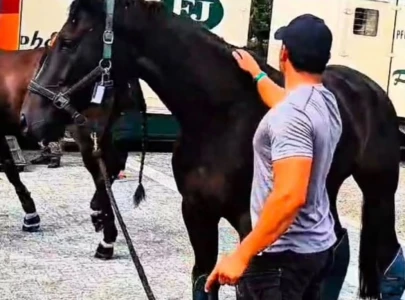 usman s horse eden du veret makes historic asian games landing
