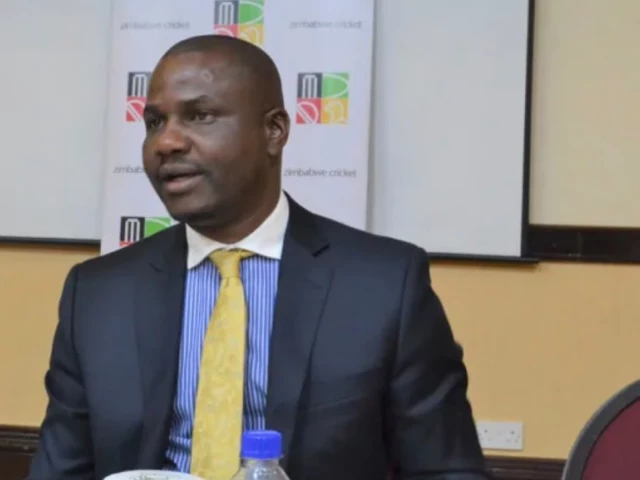 Mukuhlani named ICC deputy chair