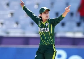 national women s t20 begins tomorrow