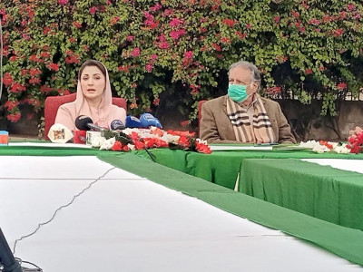 early senate elections an attempt to distort constitution maryam early senate elections an attempt to distort constitution maryam