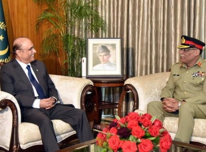 cjcsc gen mirza calls on president zardari