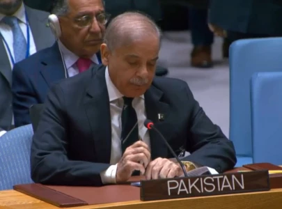 pm shehbaz urges un to sanction israel halt genocidal war in gaza