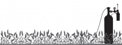 biological warfare combating the new wheat rust disease