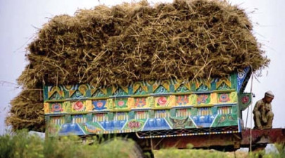 ban on wheat movement in sindh opposed ban on wheat movement in sindh opposed