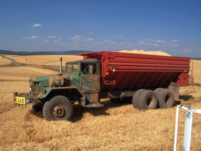 millers blame sindh govt for wheat price hike millers blame sindh govt for wheat price hike