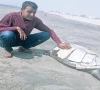 where have city s olive ridley turtles gone where have city s olive ridley turtles gone