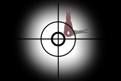 it pays to be an animal it pays to be an animal