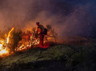 wildfires trigger mass evacuations state of emergency in new mexico