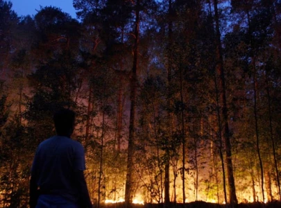 five dead in italy as heatwave brings record temperatures five dead in italy as heatwave brings record temperatures