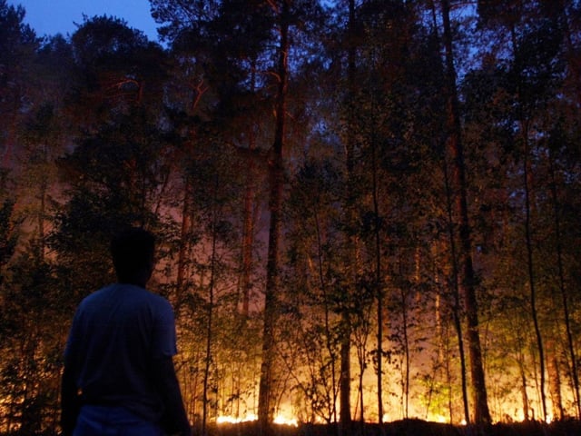 heatwave and dry weather recently trigger wildfire across russia photo reuters