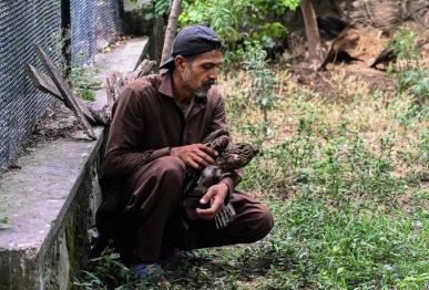 zaheer ahmed said the centre can receive up to 30 calls a day in summer from locals about distressed wildlife including birds adding that their top priorities are to provide medical attention food and water photo afp