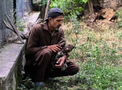 wildlife rescuers help birds survive pakistan s hotter summers
