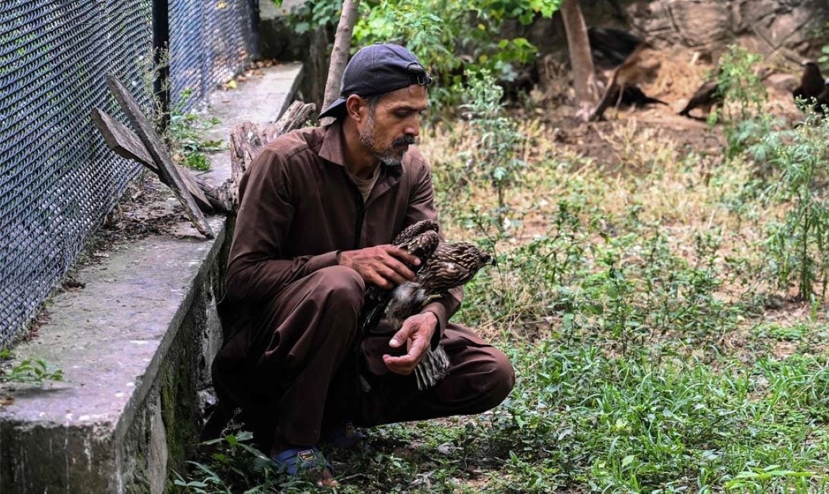Islamabad wildlife centre sees more birds suffering from heat stress