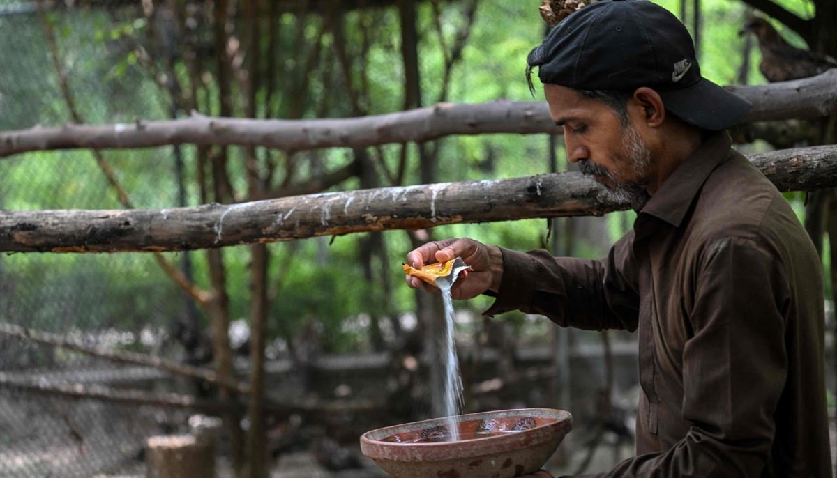 A wildlife officer Zaheer Ahmed preparing a rehydration drink for birds at the Margallah Wildlife Rescue Centre in Islamabad, July 7, 2026.PHOTO: AFP