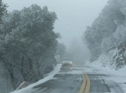 winter breaks offer learning adventures