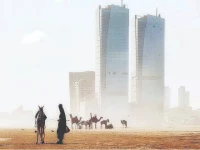 a rare stillness takes over the usually bustling sea view beach cold weather keeps visitors away leaving the horses idle and the scenic promenade beautifully empty an unusual glimpse of calm in the heart of the city photo nni