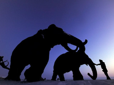 bioscience firm claims will bring back woolly mammoth from extinction bioscience firm claims will bring back woolly mammoth from extinction