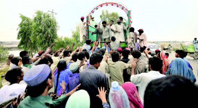 cultivating sindh s fertile art pastures