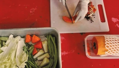 women led food ventures on the rise