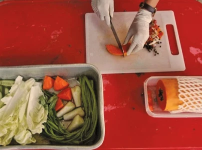 women led food ventures on the rise women led food ventures on the rise