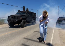 worker dies after us immigration raid on california cannabis farm worker dies after us immigration raid on california cannabis farm