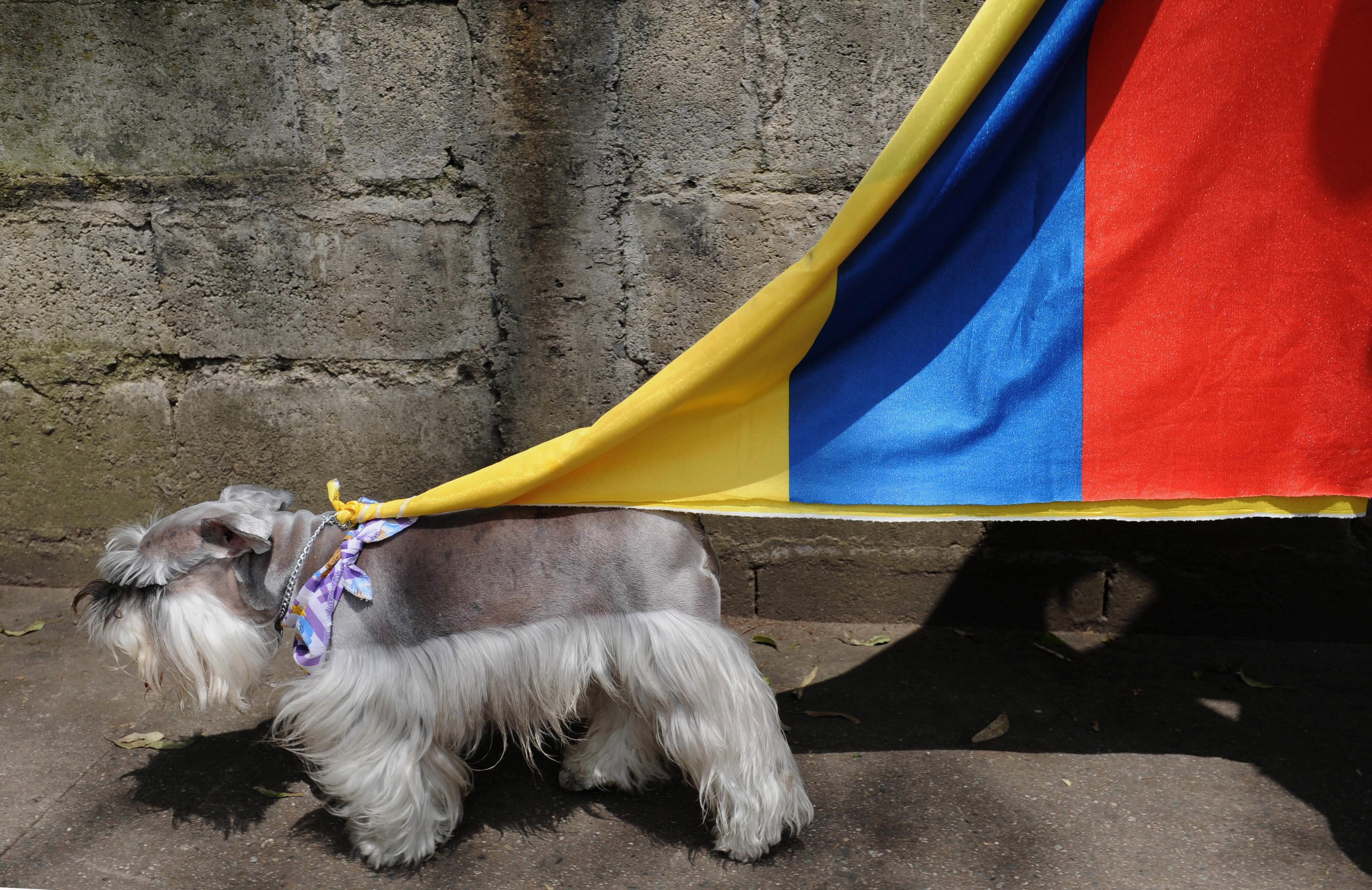 Updated Oct 04, 2010