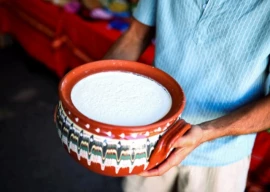famous bulgarian yoghurt attracts tourists famous bulgarian yoghurt attracts tourists