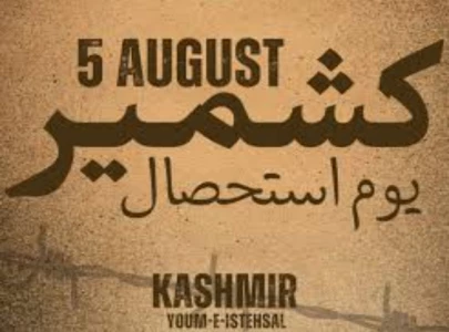 youm e ishtehsal observed youm e ishtehsal observed