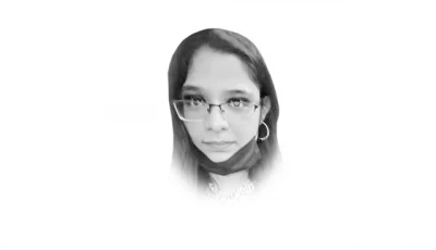 the writer is a harvard project zero trained educator and internationally published writer and journalist
