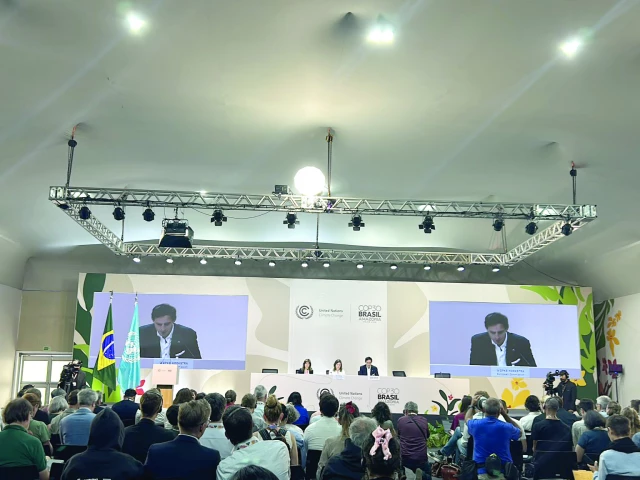 Amazon nearing 'point of no return'