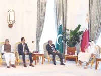 president asif ali zardari speaks with qatar s emir sheikh tamim bin hamad al thani during a meeting in doha photo inp