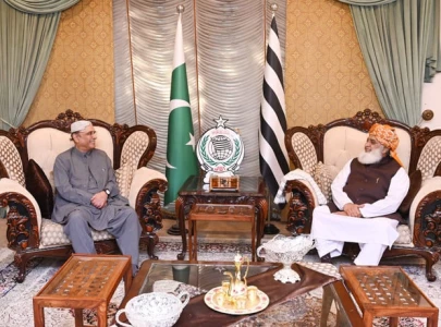 president zardari meets maulana fazlur rehman following pti talks