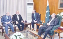 zardari urges workable solution to ip issue zardari urges workable solution to ip issue