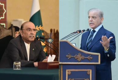 president asif ali zardari and prime minister shehbaz sharif photo file