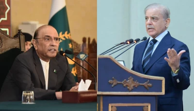 president asif ali zardari and prime minister shehbaz sharif photo file