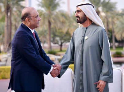 president zardari explores avenues for enhanced cooperation in meeting with dubai ruler