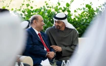 pakistan uae presidents committed to peace stability while taking stock of regional developments
