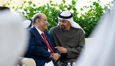 president asif ali zardari and uae president sheikh mohamed bin zayed al nahyan share a light moment during their meeting in abu dhabi on tuesday ptv news