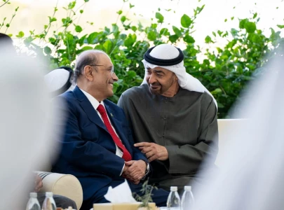 pakistan uae presidents committed to peace stability while taking stock of regional developments