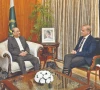 pm shehbaz sharif speaks to president asif ali zardari during a meeting at awan e sadr photo nni