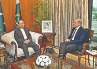 pm shehbaz sharif speaks to president asif ali zardari during a meeting at awan e sadr photo nni