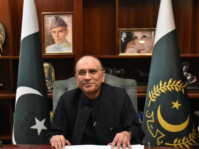 president asif ali zardari photo file