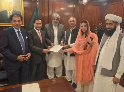 zartaj gul becomes parliamentary leader of sunni ittehad council zartaj gul becomes parliamentary leader of sunni ittehad council
