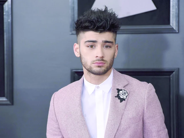 zayn malik photo vanity
