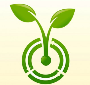 rafatullah destroys ztbl hopes rafatullah destroys ztbl hopes