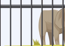 is it time to shut down the zoo