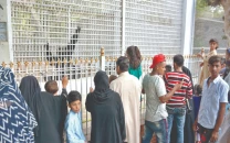 observers paint a grim picture of neglect at zoo observers paint a grim picture of neglect at zoo